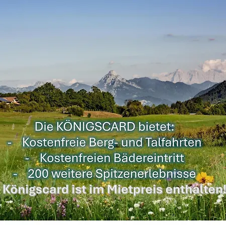 Allgaeutraum Mit Bergblick
