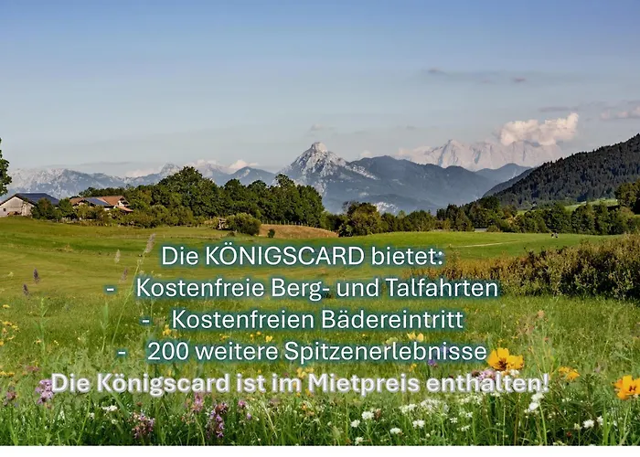 Allgaeutraum Mit Bergblick